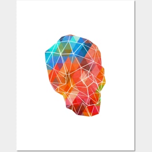 Skull Made of Color Posters and Art